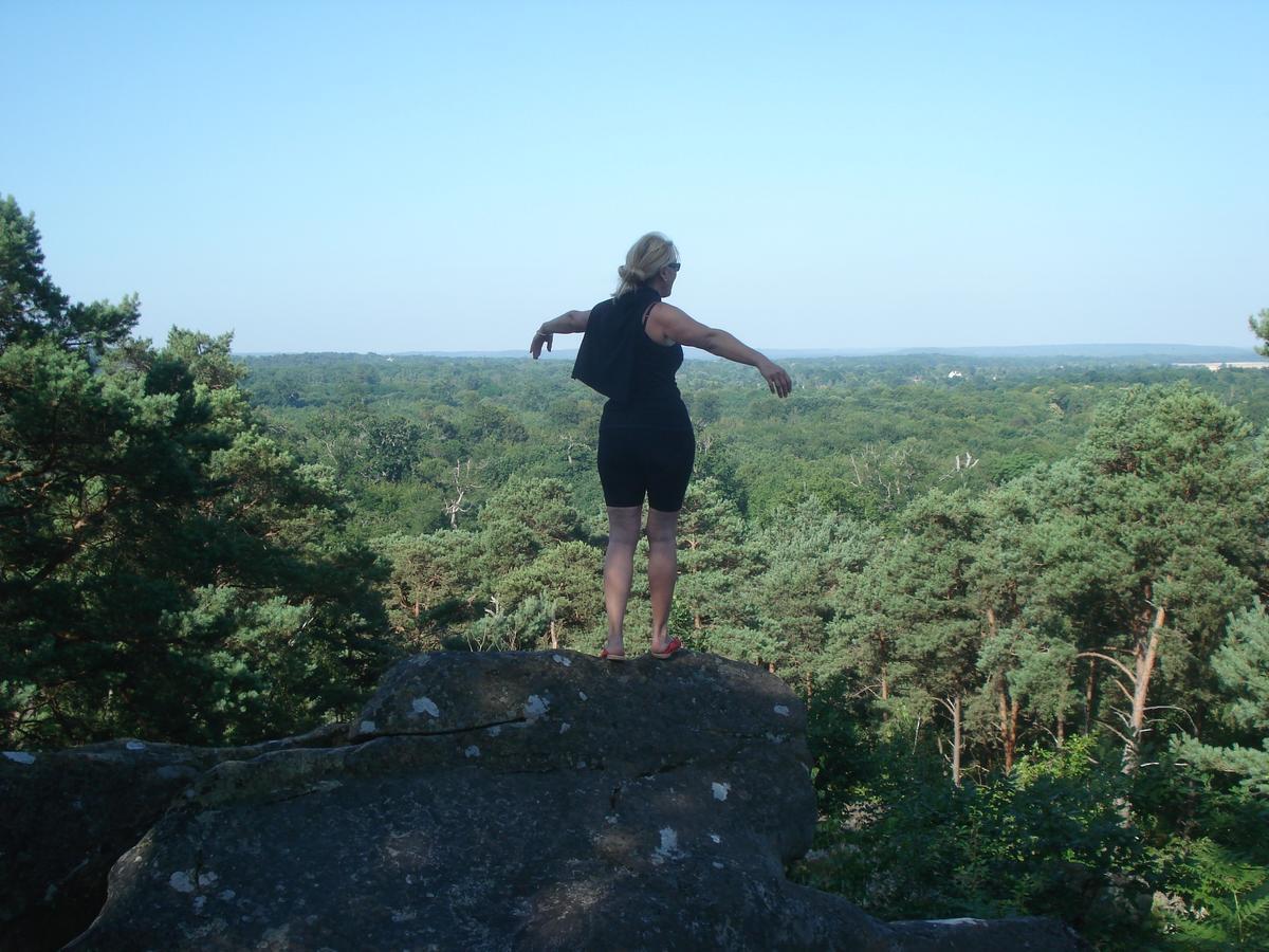 Les Premices De La Foret Chailly-en-Biere Zewnętrze zdjęcie
