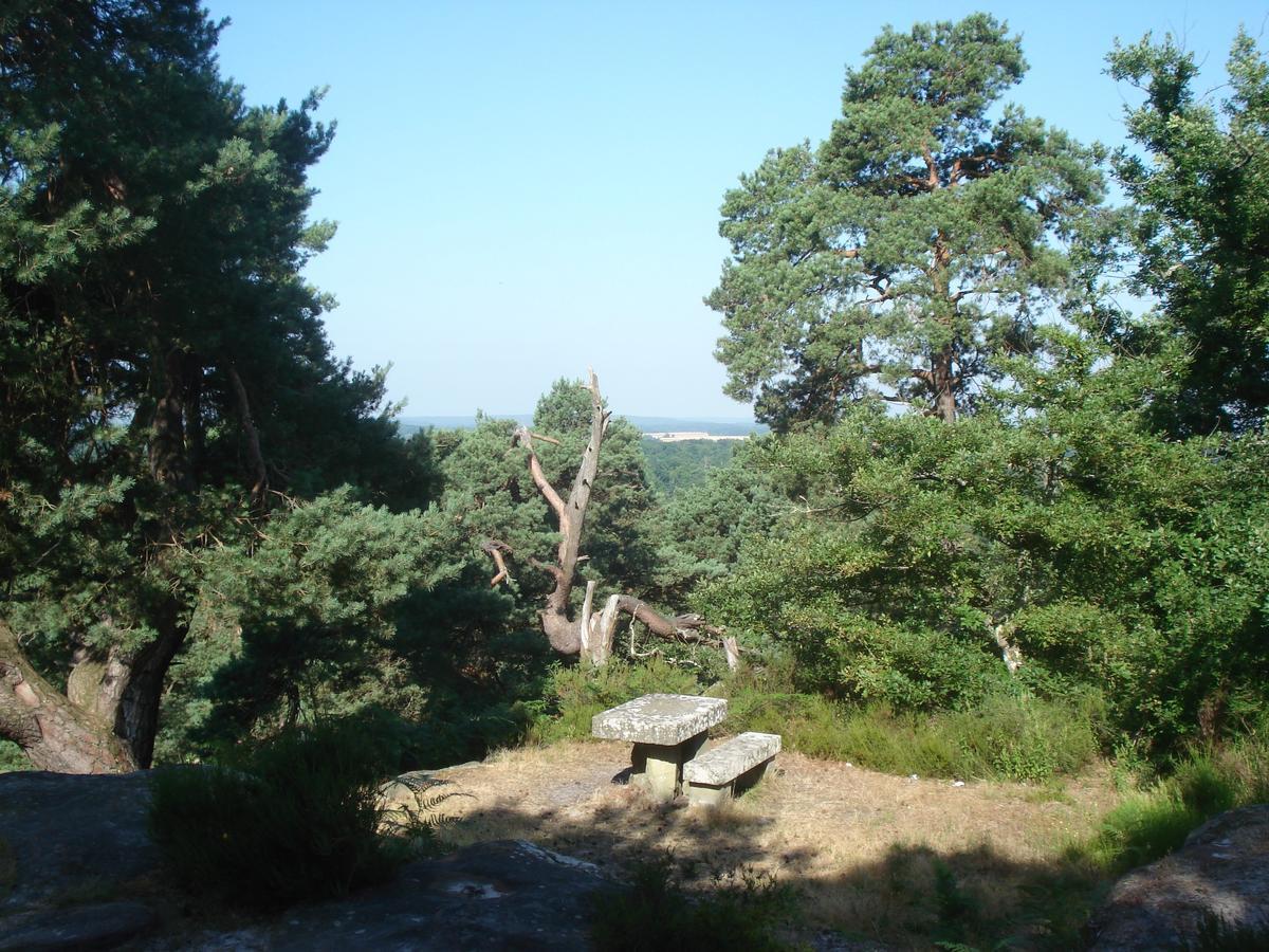 Les Premices De La Foret Chailly-en-Biere Zewnętrze zdjęcie