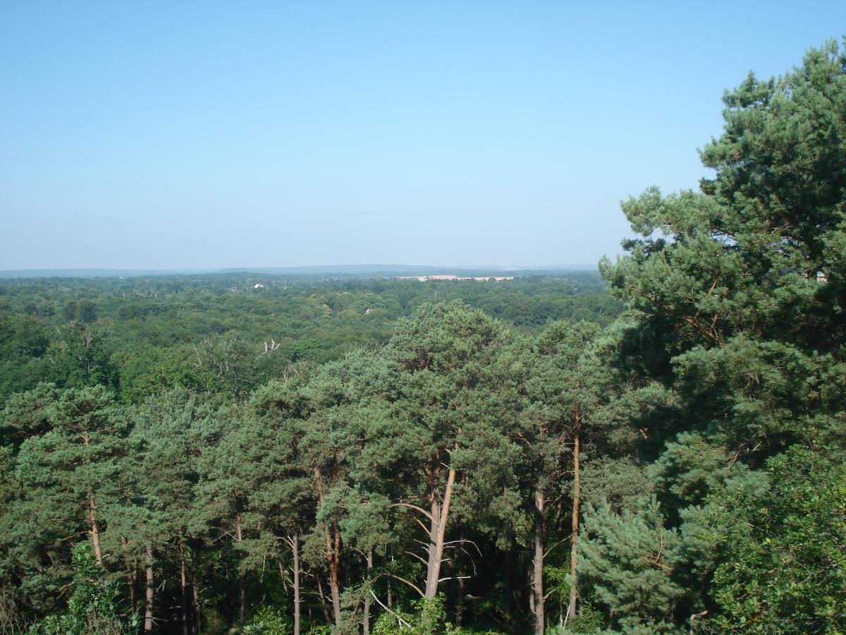 Les Premices De La Foret Chailly-en-Biere Zewnętrze zdjęcie